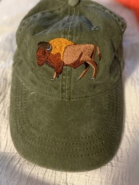 Eco Brand Embroidered Bison cap Headwear adjustable strap